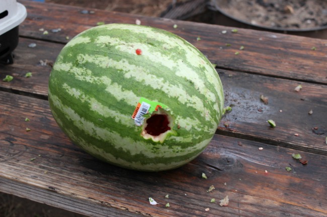 Male Watermelon Hole