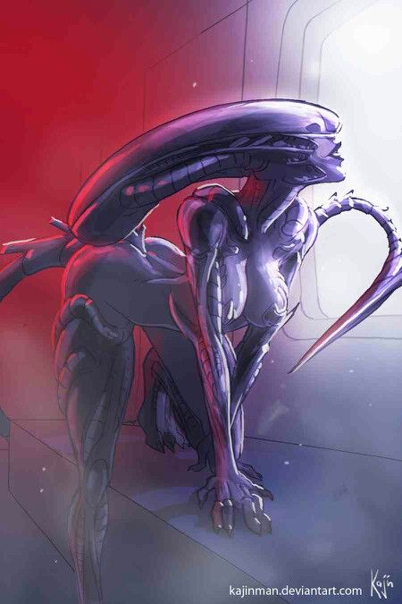Female Xenomorph Porn Comic - also http://rule34.xxx/index.php?page=post&s=list& ...