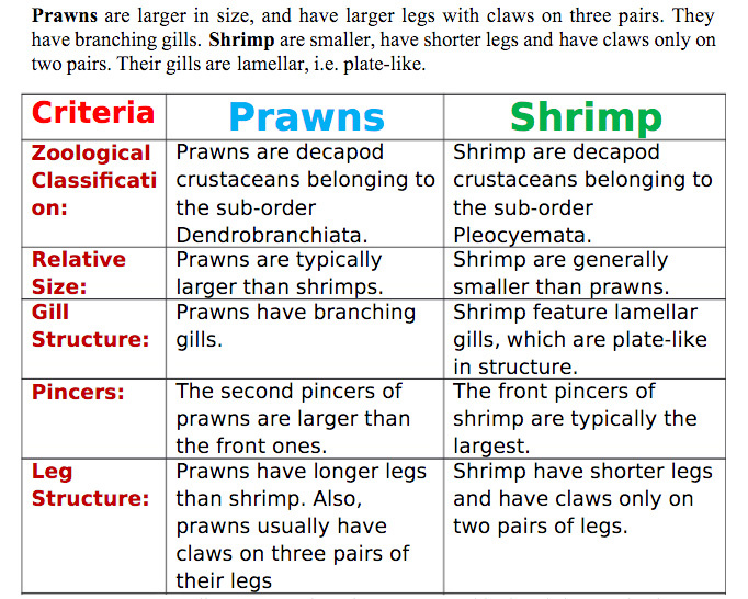 Pairing перевод. Prawn vs Shrimp разница. Prawns and Shrimps разница. Shrimp Prawn отличия. Shrimp or Prawn разница.