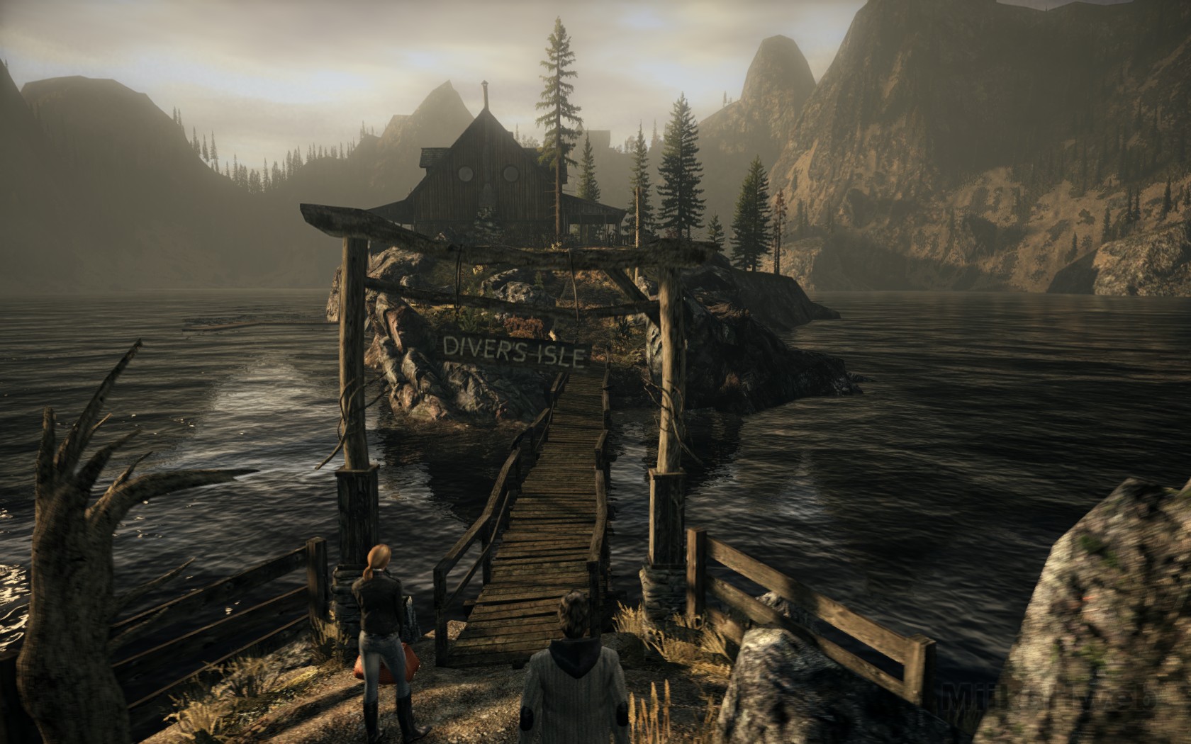 reminds me of the house in alan wake - #166877570 added by ...
