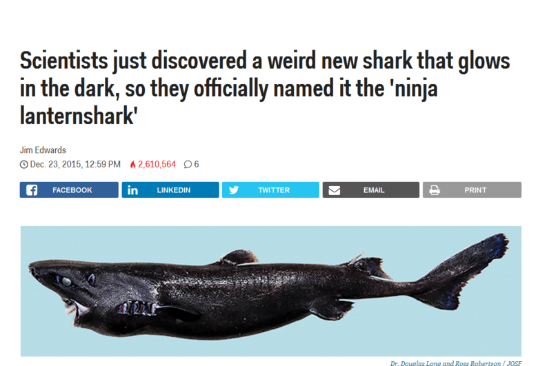 Scientists just discovered a weird new shark that glows in the dark, so  they officially named it the 'ninja lanternshark