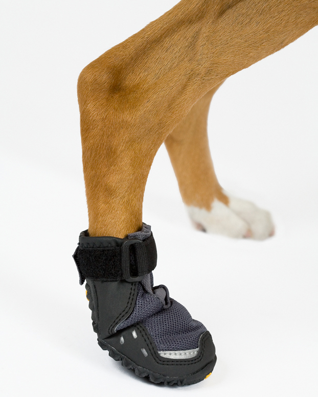 service dog shoes