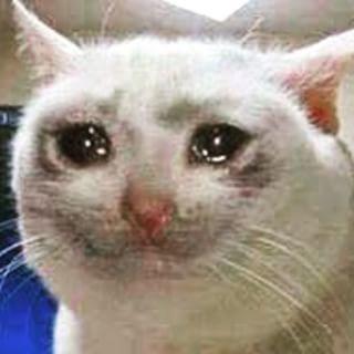 Kevin Is Doing Science Funny Cat Cats Meme On Me Me